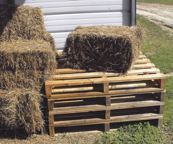 Half-Sized Hay Bales, Sell Like Hotcakes!